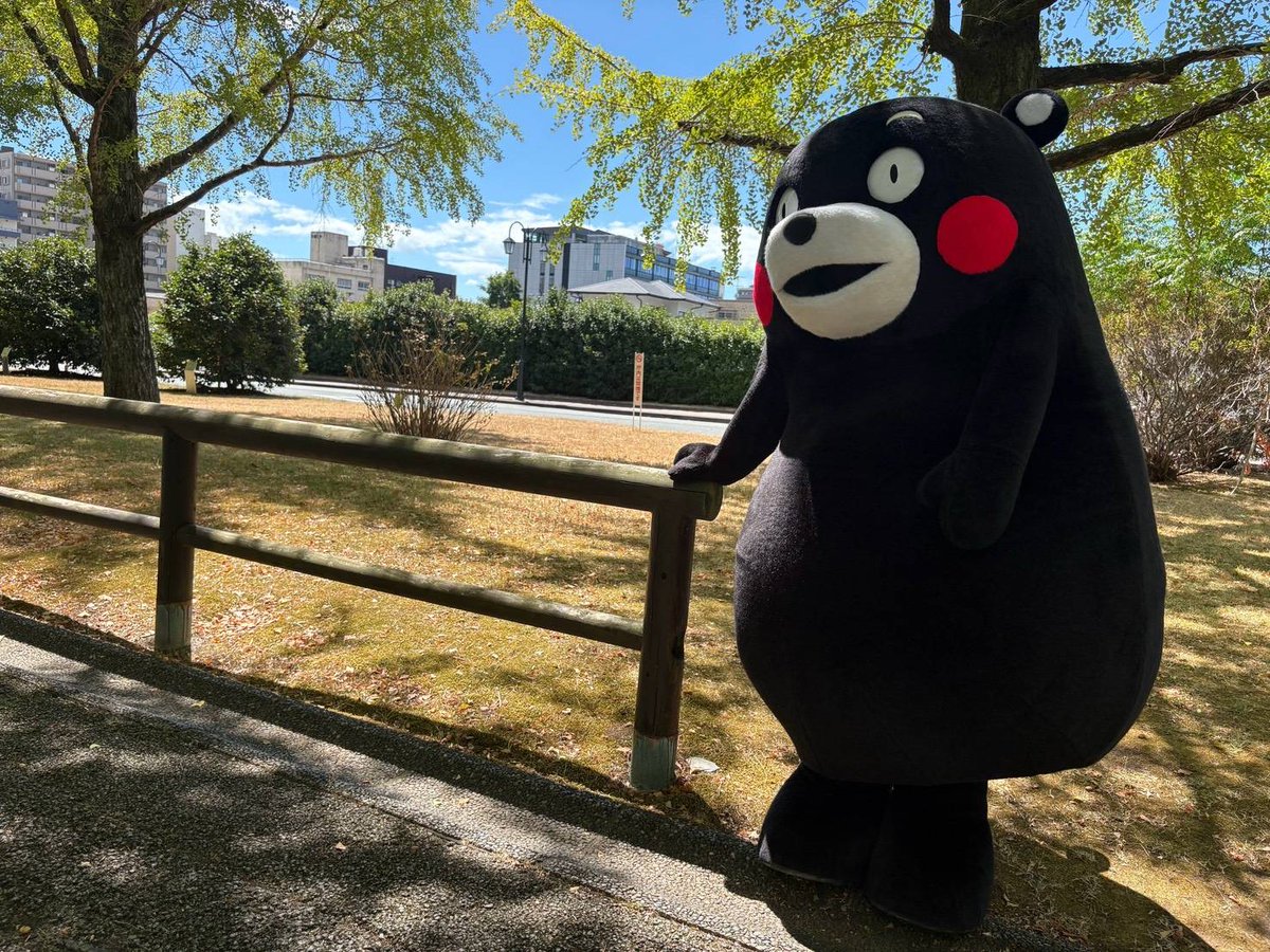 55_kumamon's tweet photo. おはくま～！今日も 1 日よろしくま！ https://t.co/ovBWNQf5mc
