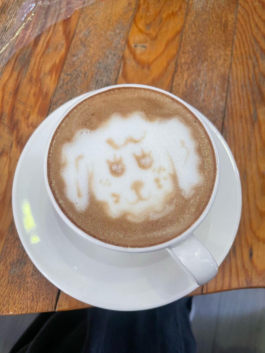 senayvnm's tweet photo. kafein vakti, baristacılar kahvemi yorumlasın çabukk https://t.co/o8xipNFzy8