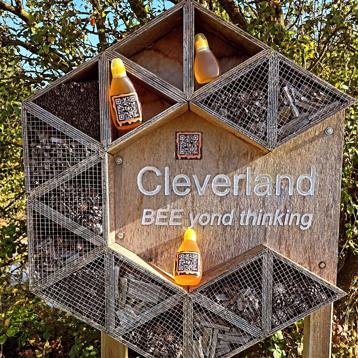 Crypt0Cj's tweet photo. What a amazing project @BeezHiveNFT we got our first batch of Honey and its amazing you can taste its from mother nature her self the Beez did a great job this year ❤️🐝 thanks for this amazing project, community and friendship special thanks to our Master Bee Keeper Xanderz ❤️🐝 https://t.co/bX8vq6UZqK