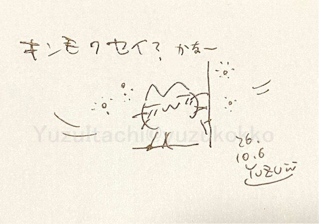 yuzukokko's tweet photo. どこからともなく香る
キンモクセイ？の香りとねこ😸🧡
本日もお疲れさまでした🌟
#ねこ絵 #キンモクセイ？ https://t.co/Tj8Ix3sHWR