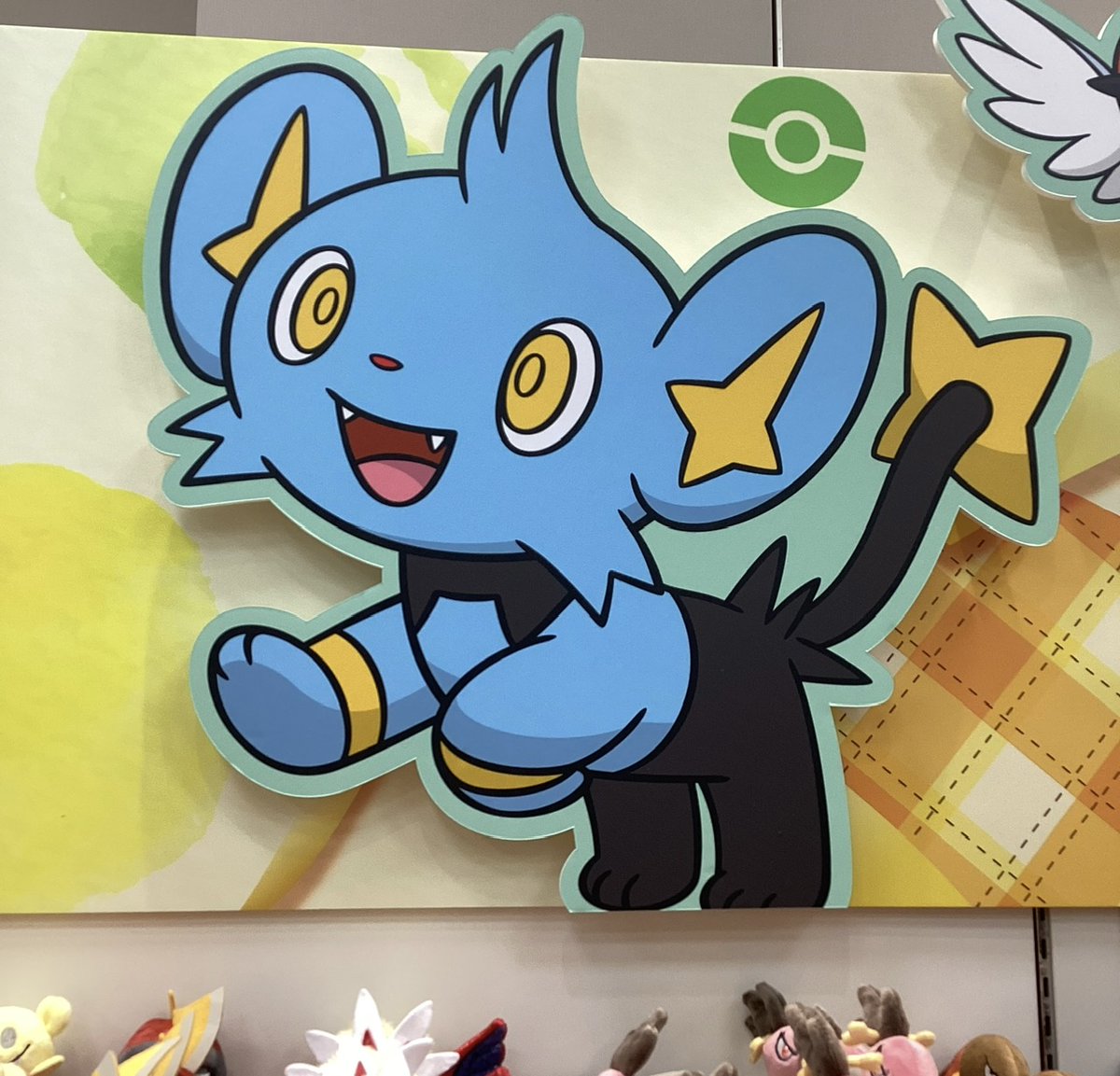 DOBEGUNDAN's tweet photo. この前のポケセン出張所
コリンクがポケモンfitの棚(まぁまぁ目立つ位置)にいて良 https://t.co/dAhbsTqZOv