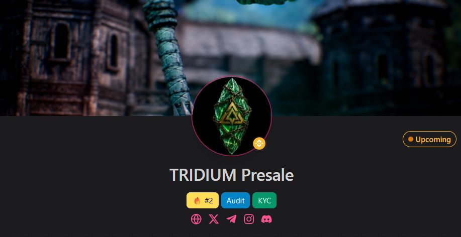 pinkecosystem's tweet photo. 🔥The Vikings Valley team has decided to lower the cap and make the project even more bullish! 

🚀 A new presale is starting later today - be sure to get in early! 

🏆 Vikings Valley is a dark-fantasy Play-to-Earn game on BNB Chain. Build Viking crews, raid islands, fuse NFTs, and trade in a player marketplace, all while earning TRIDIUM (TRD).

👇 Sale link below:
https://t.co/lglgD5AKuY
