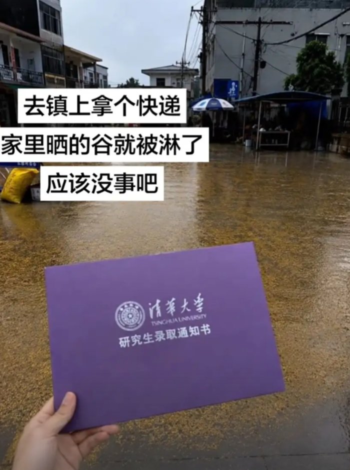 FYA8l's tweet photo. 就去拿了个快递

怎么回来谷子都出汗了 https://t.co/7eKTfyd67P