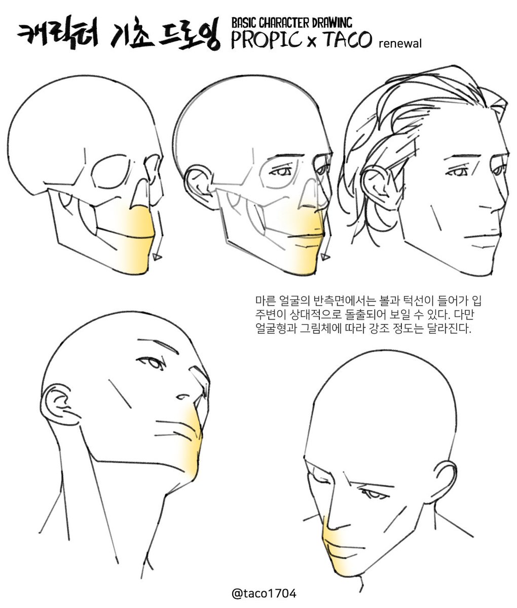 taco1704's tweet photo. Drawing a Lean Face in Three-Quarter View
마른 얼굴의 반측면에서는 볼과 턱선이 들어가 입 주변이 상대적으로 돌출되어 보일 수 있다. 다만 얼굴형��� 그림체에 따라 강조 정도는 달라진다. https://t.co/2fVGnWUcdf