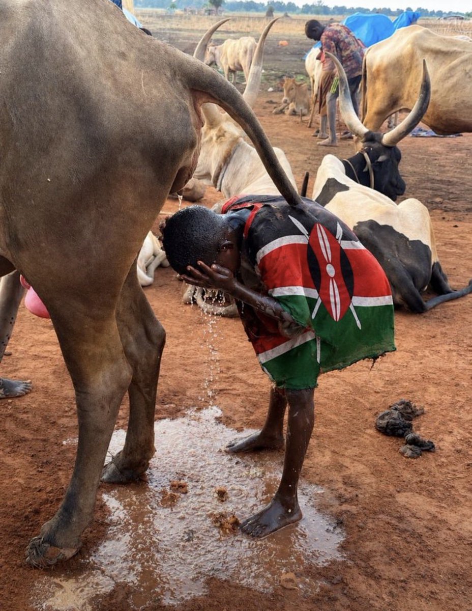MceeMedia's tweet photo. All this money, yet ur source of water is Elephant Urine https://t.co/PqqafpNQGb