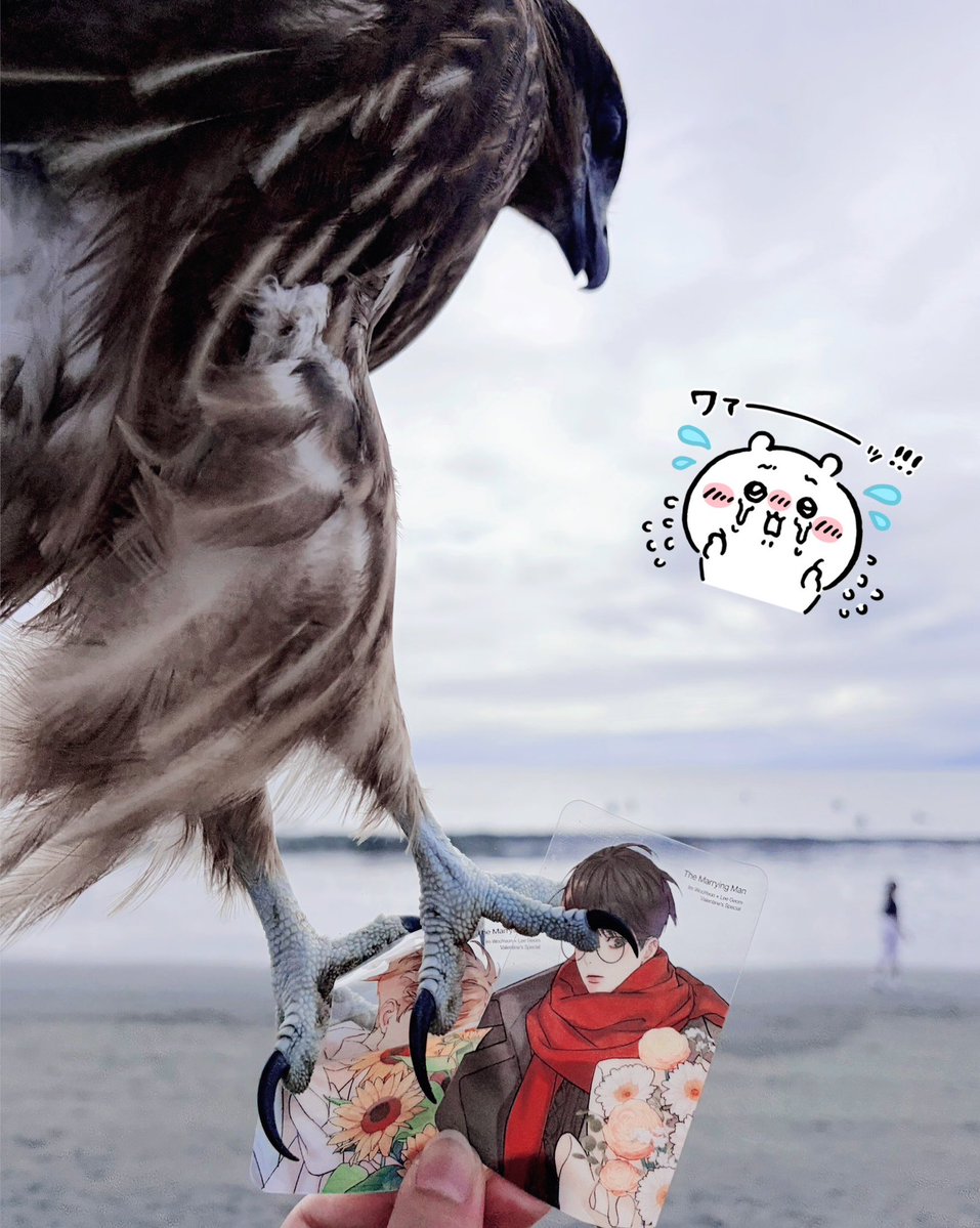 tooru_desu's tweet photo. 💥🦅　湘南Date...🌊💕

The Marrying Man～行方不明の恋～

#결혼하는남자
#結婚する男
#AMarryingMan
#MissingLove 
@inherin https://t.co/jXJwEOB17y