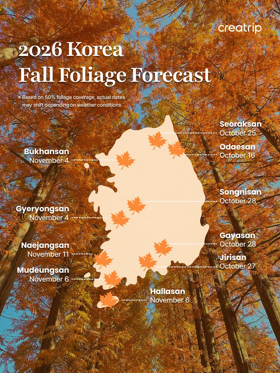 creatrip's tweet photo. Ungatekeeping the BEST fall foliage spots in Korea 🍁🇰🇷 Here’s the 2026 forecast + where to go

Recs In Seoul
🍂 Gyeongbokgung Palace
🍂 Namsan Park
🍂 Olympic Park
🍂 Seoul Forest

Recs Outside Seoul
🍁 Seoraksan
🍁 Nami Island

Details + best photo spots in the thread 👇
#KoreaTravel #FallFoliage #SeoulTravel