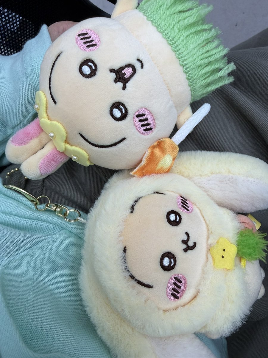 puriyaha_'s tweet photo. 오늘 출근 메이트들 앙 https://t.co/PPkiC1qDGr