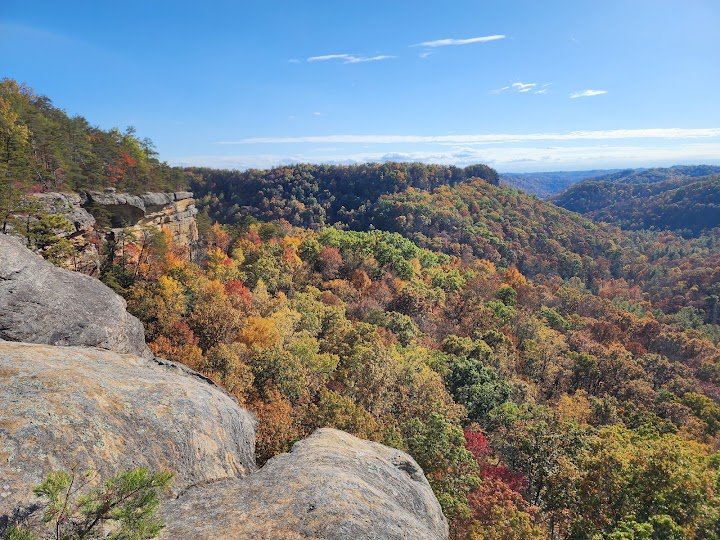 ARandomName68's tweet photo. @hotoke1979 @Yqw2j4C0urPpT9O @tentoumushidama @ueyamakzk For me, a low regulation/cost of living paradise. Some of the most beautiful land on earth (national/state parks everywhere, pics related). Numerous safe, clean small towns. And horses. Lots of horses. https://t.co/ZAFcKYm6oG