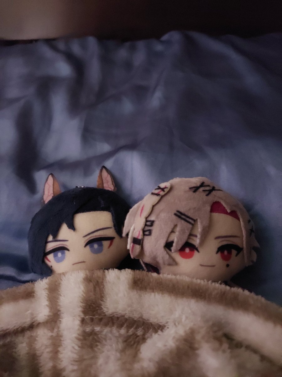 kabeeunnie's tweet photo. #caepape & #paperon are now tucked in bed! time for them to go eep :3 https://t.co/4SveLDs9t6