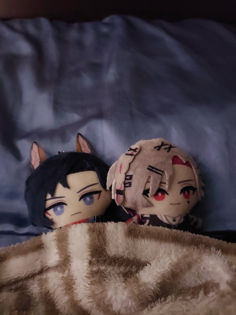 kabeeunnie's tweet photo. #caepape & #paperon are now tucked in bed! time for them to go eep :3 https://t.co/4SveLDs9t6