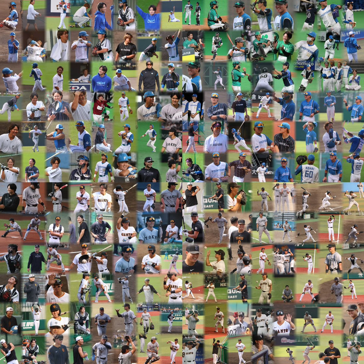 _37tky's tweet photo. ファイターズでの約7年とジャイアンツでの約3年📸📕
10年間たくさんの思い出をありがとう❕
まだ現実味なくて、不思議な感覚だけど、現役続行希望してくれている事が本当に嬉しいし、郡くんならまだまだできるって思ってます
新しい場所で郡くんが輝ける未来が待っていますように🕊𓂃𓂂𓏸 https://t.co/8vVr9wr2sp