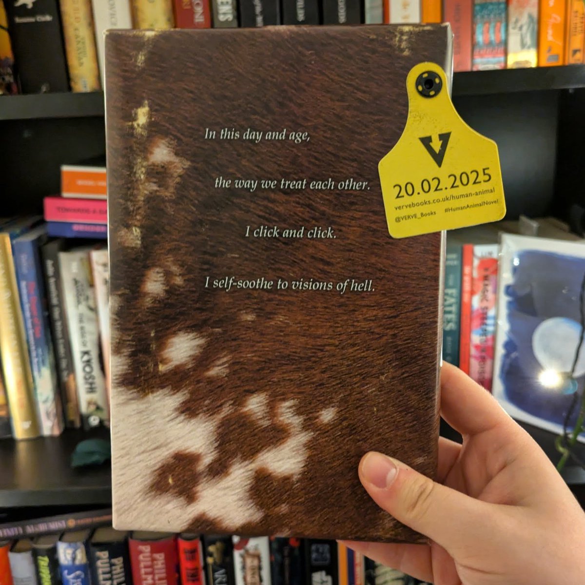 longingform6ww's tweet photo. TIhe author ( ) even took the time to wrap the book and put a cute little tag on it to really tie in the dairy-farm theme in.… got incredibly lucky to receive an arc at work last week! https://t.co/iJ9SMPlu3y
