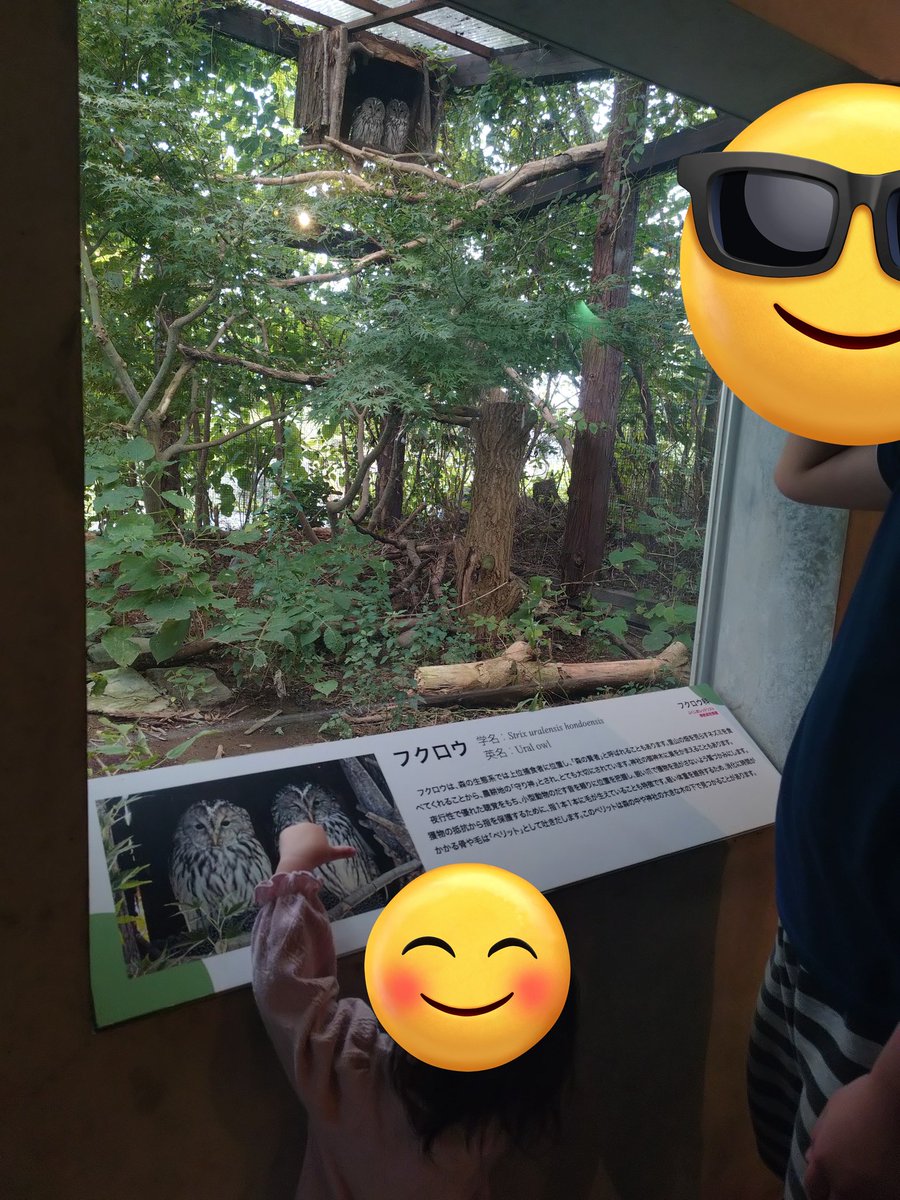 soreike85boy's tweet photo. 今日はお子らが学校早くに下校だったので下の子氏とおちび氏とお出掛けしてきた(上の子氏には断られた😭w)

ハロウィンのアイス美味かった！
名前忘れたけど！紫のやつ好き😋😋 https://t.co/WXtcHfm3DV