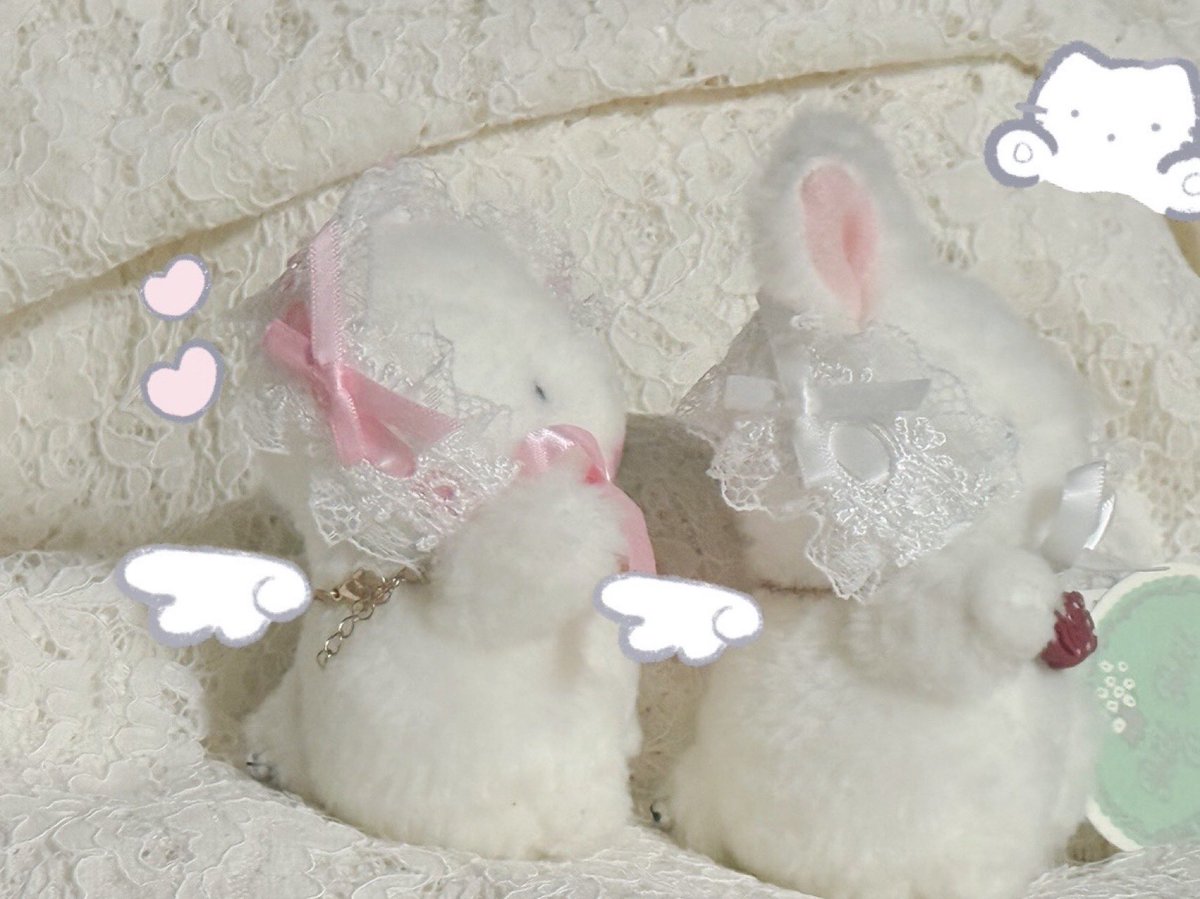 __ngzz's tweet photo. セリアに売ってたヘッドドレスが可愛い🧸ෆ https://t.co/Ze1QpbKPdB