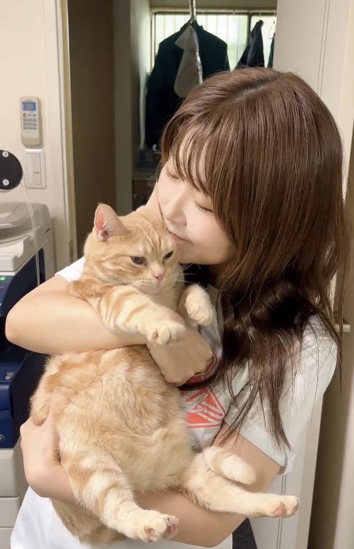 endlessroad52's tweet photo. うちの会社の看板ネコ🐈
みんなからかわいがられて、たくさんおやつもらってるのがわかる重量感。 https://t.co/b0eXYtwDQU