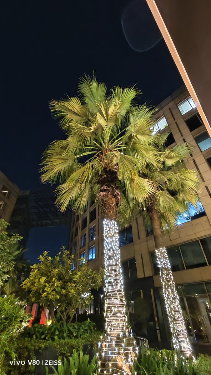fossbytes14's tweet photo. @Vivo_India vivo V80 Camera Samples (3) https://t.co/7ERzvmXUhI