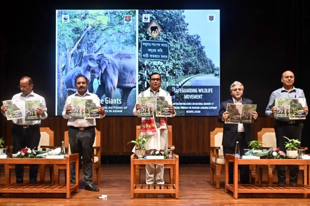 jayanta_malla's tweet photo. While attending the 72nd Wildlife Week celebration, we released two important reports strengthening Assam’s efforts towards science-based wildlife conservation and human-wildlife coexistence.

One was “Tracking the Giants”, a joint initiative of the Assam Forest Department and WWF-India, presents insights from 38,000+ GPS locations of five radio-collared elephants over five years, mapping their movement, habitat use, seasonal migration and transboundary passages and the other one was “Safeguarding Wildlife Movement” which documents the mitigation measures along NH-27 through the Dhansiri-Lungding Elephant Reserve, including underpasses, fencing, caution signage, speed breakers and other measures to facilitate safe wildlife movement.

These studies will help guide conservation planning, strengthen wildlife-friendly infrastructure and support safer coexistence between people and wildlife across Assam.

@assamforest
@WWFINDIA

📍Sri Sri Damodardeva International Auditorium, Kalaketro, Guwahati