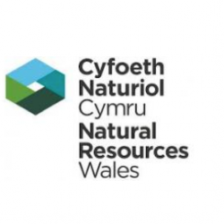 CiwemJobs's tweet photo. Hydrologist dlvr.​it/TVp1Sy #environmentaljobs #waterjobs https://t.co/377X1sbX1Y