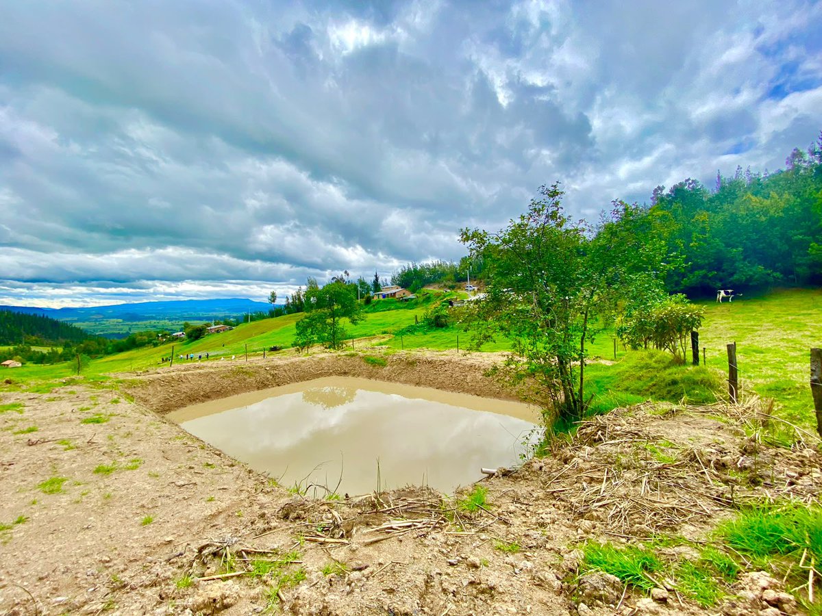 Alfred_Balle's tweet photo. ¡Fortalecer la disponibilidad de agua también es prepararnos para la variabilidad climática!

Por eso, en la @CAR_Cundi abrimos una convocatoria para recuperar, rehabilitar y mantener reservorios excavados previamente construidos en predios rurales de 29 municipios. 
Productores agropecuarios que cumplan los requisitos podrán postularse hasta completar los cupos.

Consulte los requisitos en https://t.co/56nNQnqcp0.