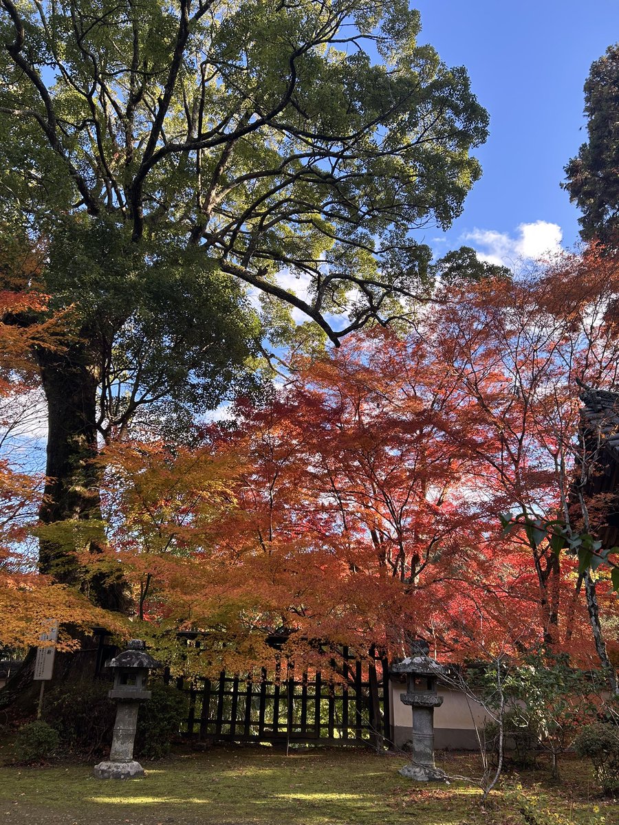 mk_ryokou's tweet photo. こちらのお寺の昨秋の様子です🍁 https://t.co/R3DfJK4g7d