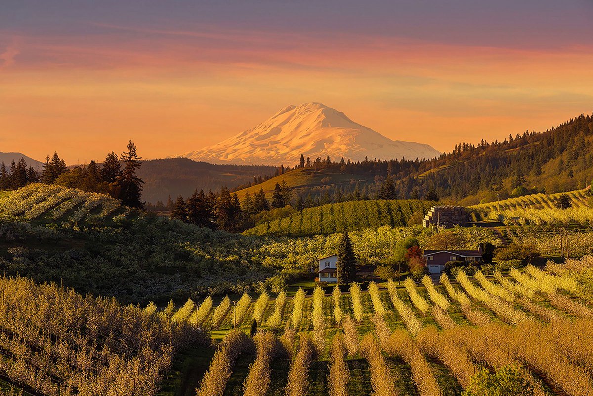 pdxgary777's tweet photo. Wishing you a day filled with sucsess and abundance!
Search homes at https://t.co/IEoTw9ZaZF
🌲🏠🌲
#remaxagent #portlandrealtor #oregonrealtor #portlandliving #pdxrealtor #pdxgary #like https://t.co/1HS5pBg0sK