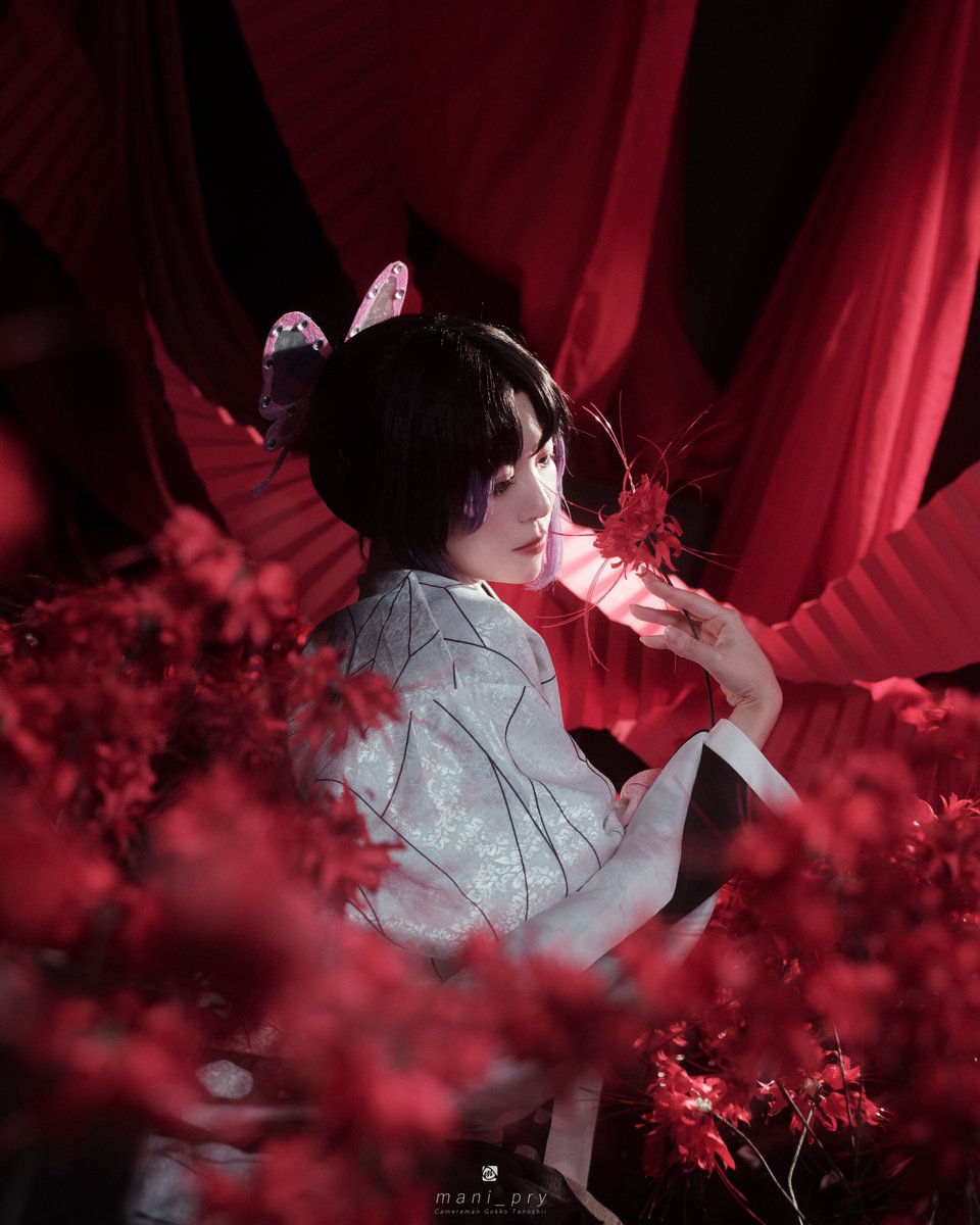 kii_pb's tweet photo. コスプレ 鬼滅の刃 胡蝶しのぶ #cosplay  
彼岸 https://t.co/rAf64pe9YI