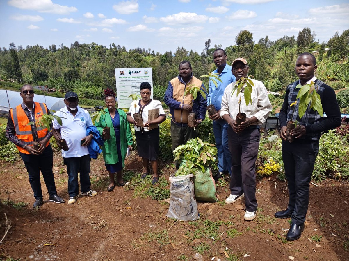 climate_ke's tweet photo. Coffee farmers at Giathugu Coffee Factory in Rugi Ward, Mukurwe-ini Sub-County, have welcomed a newly completed modern solar coffee dryer investment under the #FLLoCA Program.
With a capacity of 16 tonnes of coffee beans per cycle, the dryer cuts drying time from 14 days to just 7, improving bean quality and reducing post-harvest losses. The factory expects production to rise from 150,000 kg last season to more than 250,000 kg this year.
Giathugu is one of nine Nyeri coffee factories benefiting from the program, supporting a cooperative of more than 1,100 registered farmers and creating new jobs in the community.