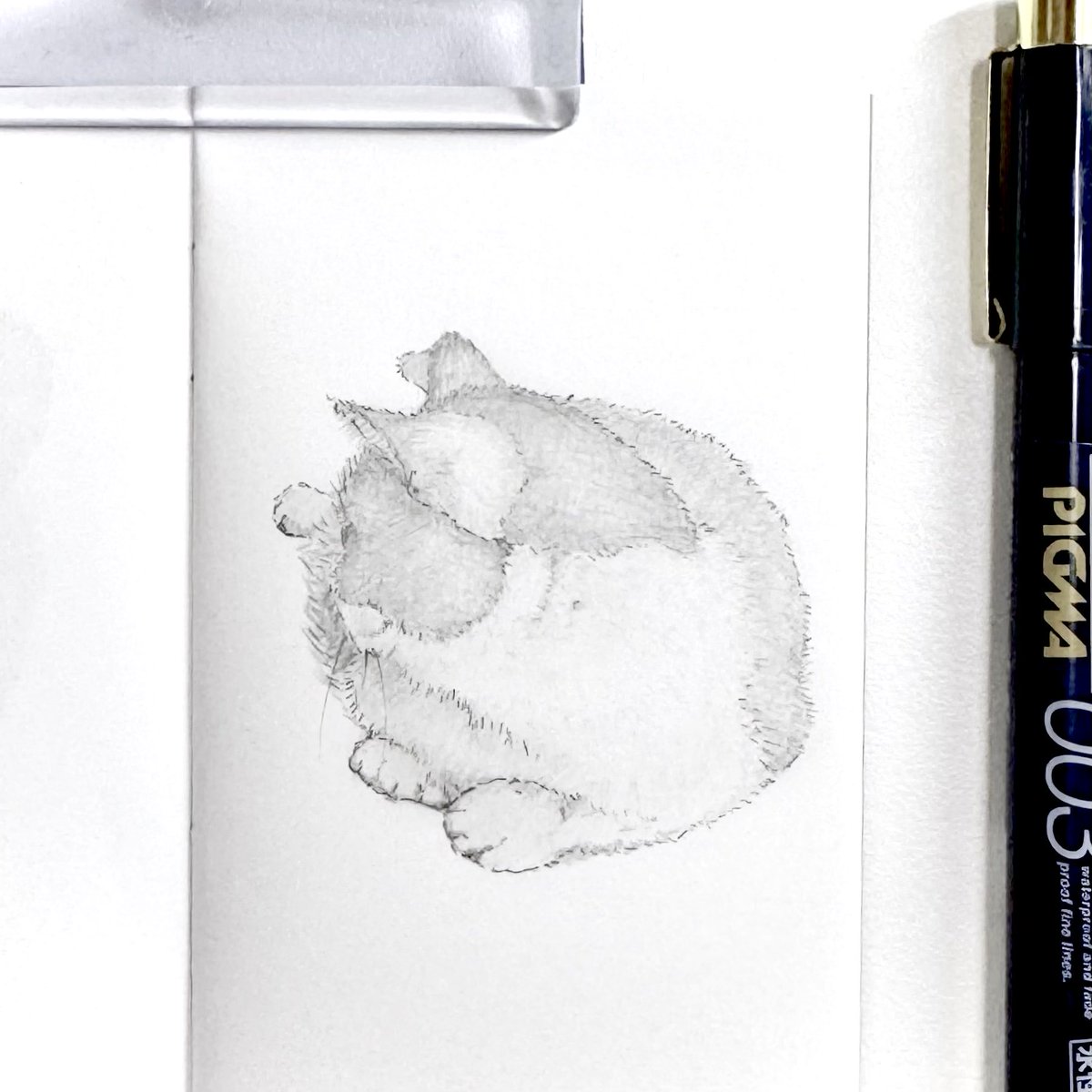 maogatocatneko's tweet photo. γ€γ³γ―γγΌγγΌ Day6π±
#inktober
#catart #catdrawing
#munchkincatober https://t.co/4BAmhDUYyO