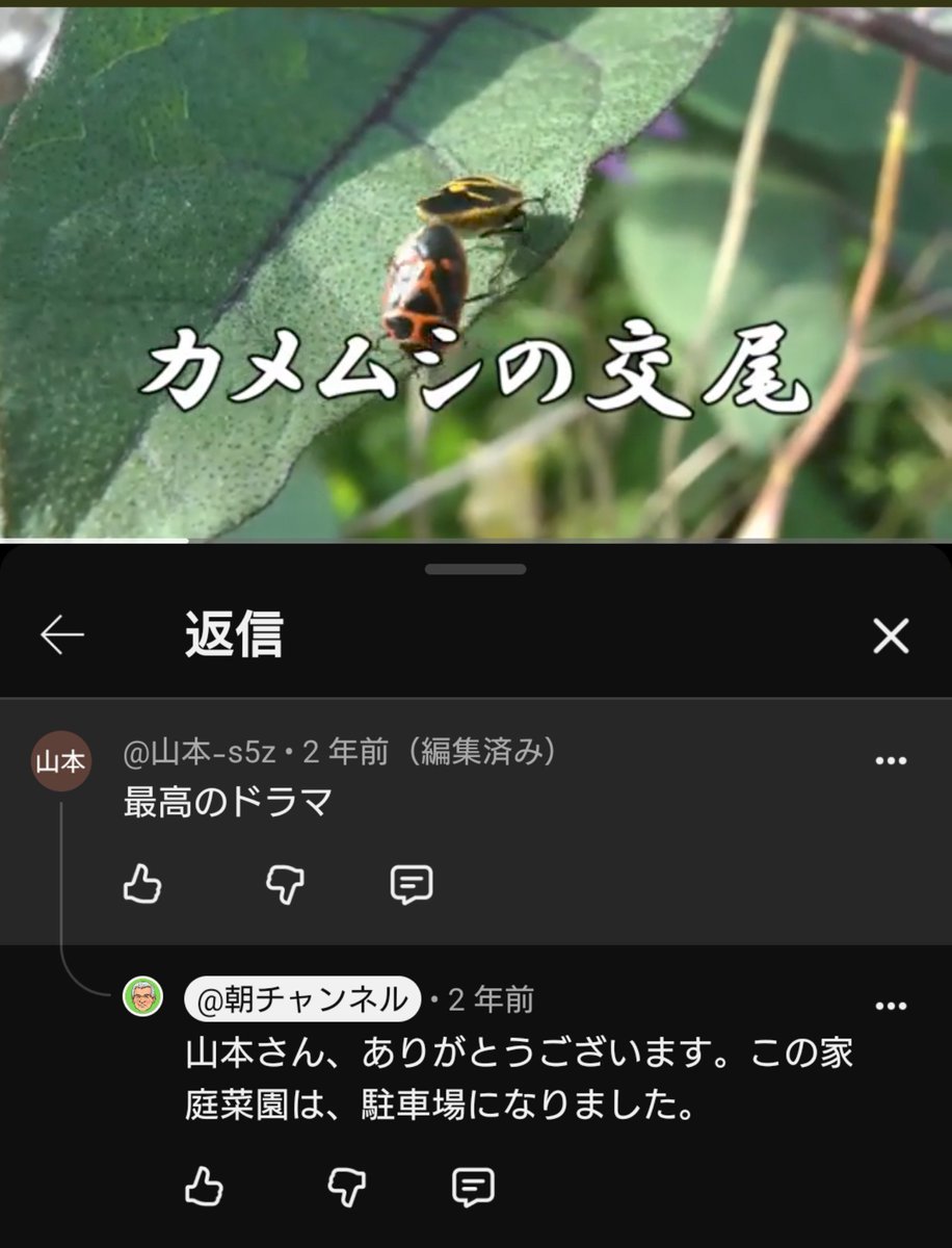 tankatomoma's tweet photo. そんなぁ…… https://t.co/sdPEmVZCbv