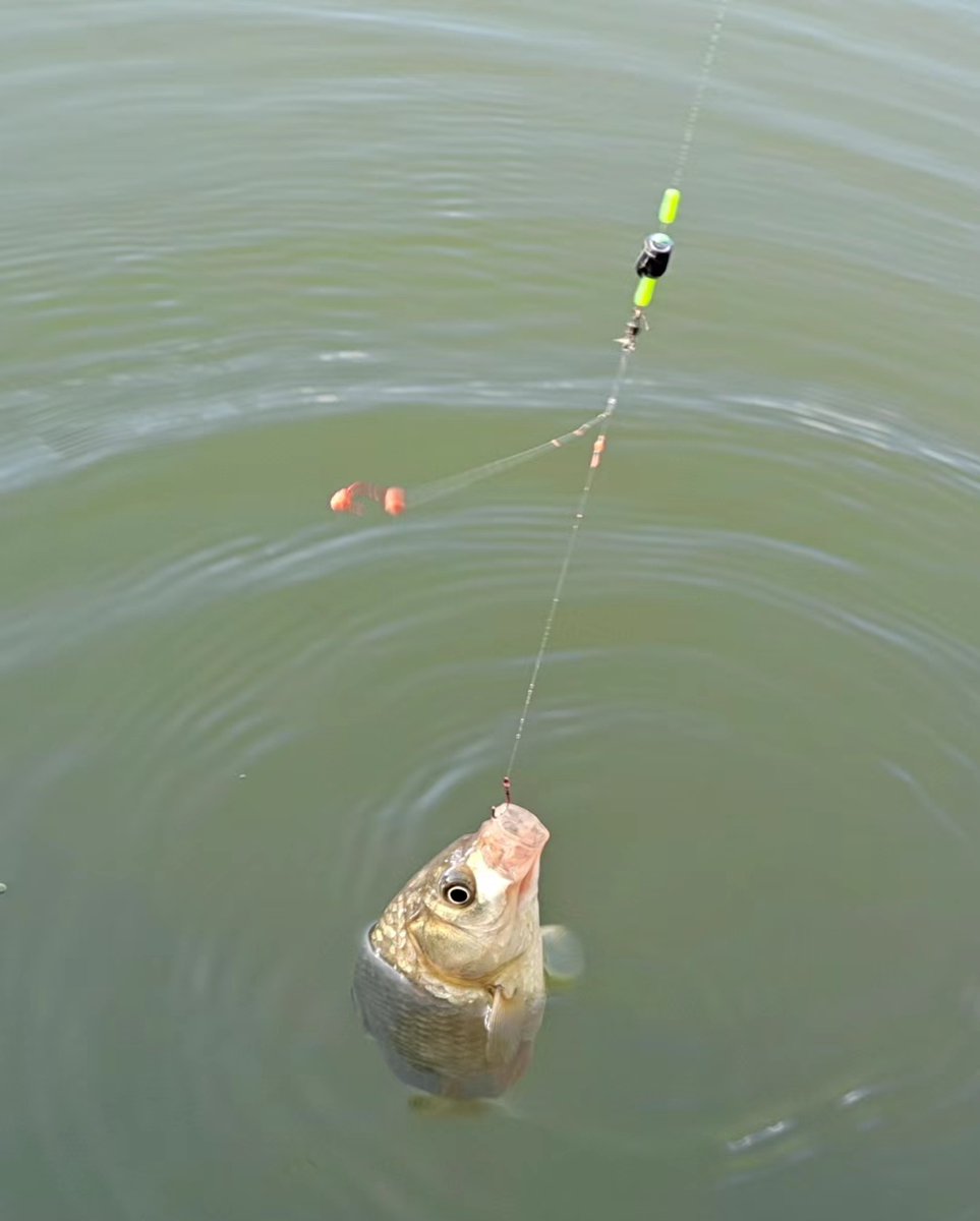 gojo_2309's tweet photo. The huge fishing hook is a great helper for fishing lovers, making every fishing trip full of fun and surprises. https://t.co/A5WzlnzPdm