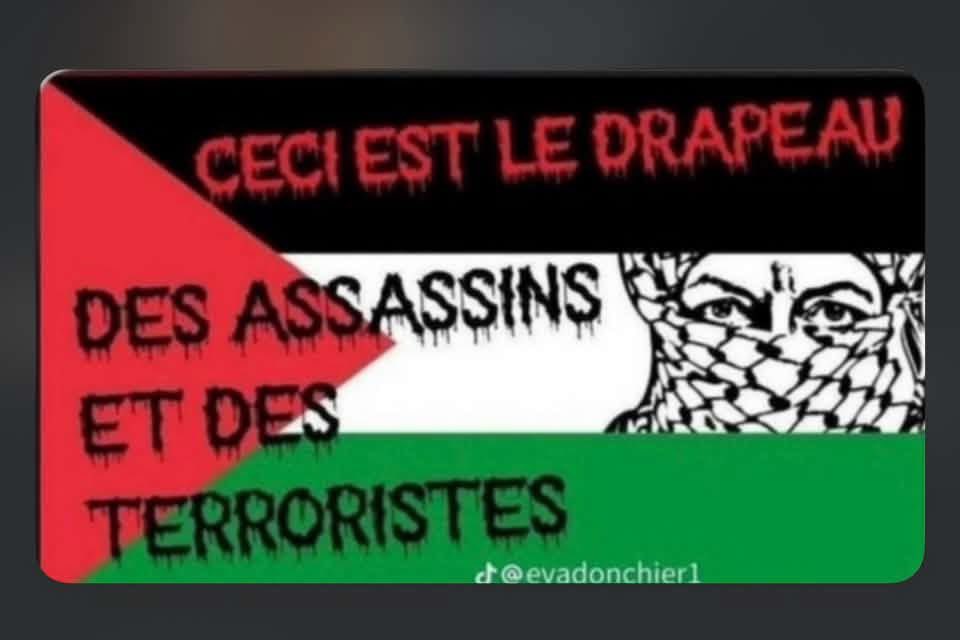 Solange13000's tweet photo. @GWGoldnadel @fxbellamy C’est URGENT dissoudre LFI https://t.co/cwxcNY3RI8