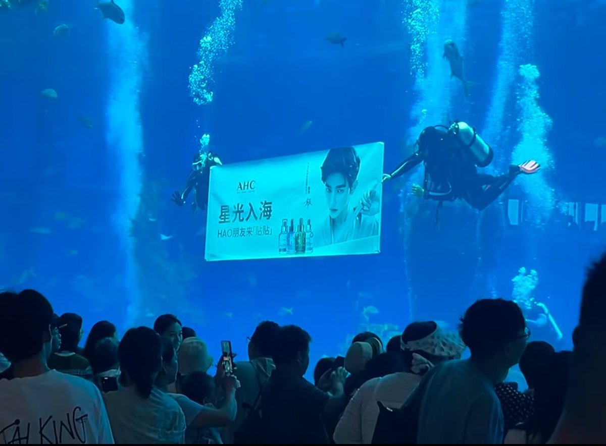 haoscan's tweet photo. ZHANG HAO IS EVERYWHERE 😭 https://t.co/urxAAd536U