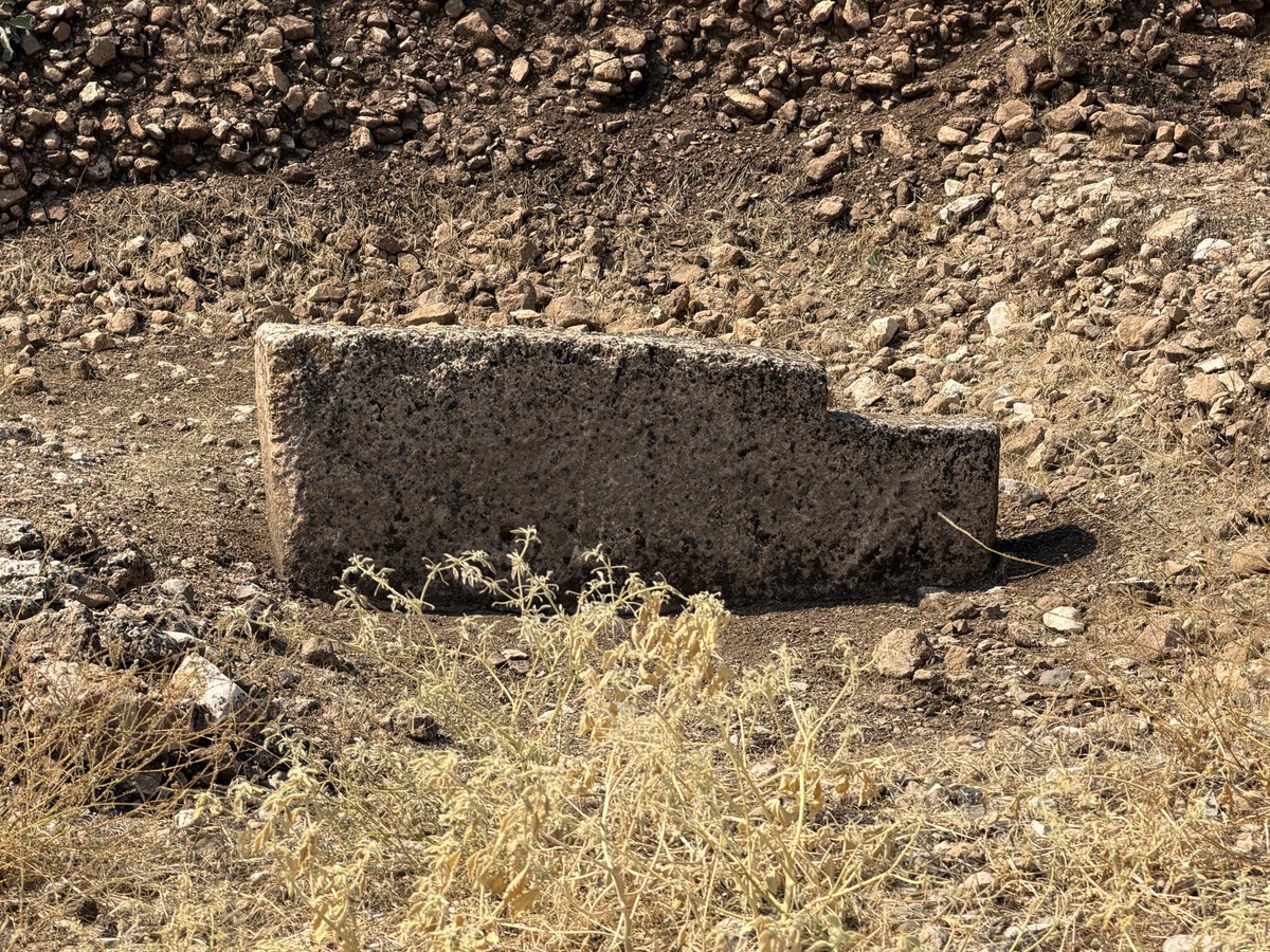Anyextee's tweet photo. @drleeclare joins our Adept Expeditions @AdeptExpedition group at Göbekli Tepe—sharing his insights from years of archaeological work at one of the world’s most extraordinary ancient sites. https://t.co/iZ6976FoCu