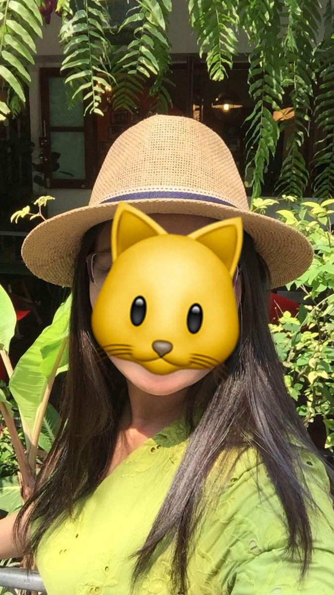 timtim_flify tweet picture