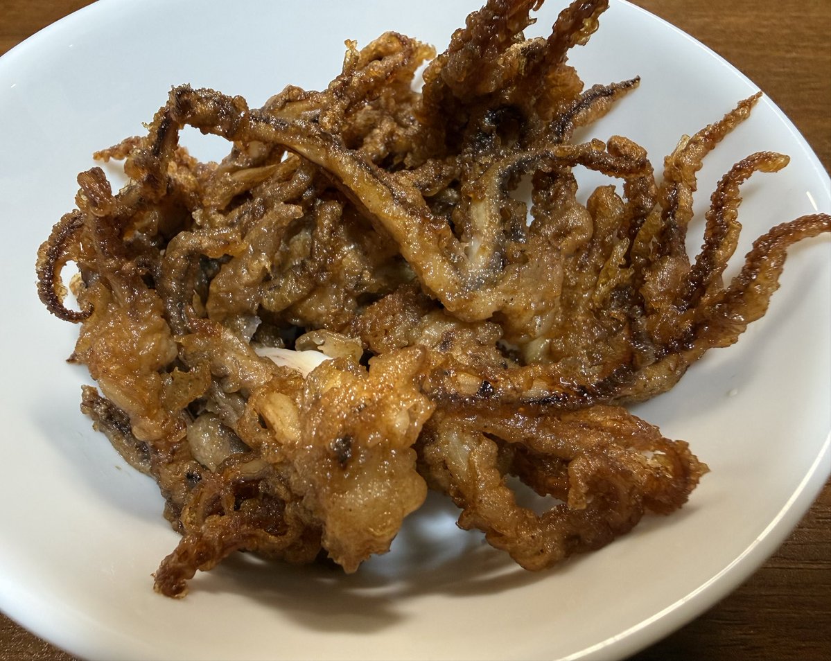 pinlkiai's tweet photo. 今日は2食めし。カレーうどん、いか下足の唐揚げ、ブロッコリーのピーナッツ和え。晩めし食べて原稿を入稿したら、明日からホラー映画の脚本の筆入れ。
ドラッグストアに行くとおせち料理の予約が目に入り、もうそんな季節かと改めて知らされる。来月から秋冬パートの撮影が始まるので頑張るし楽しみ。 https://t.co/2vEmRPmT9Z