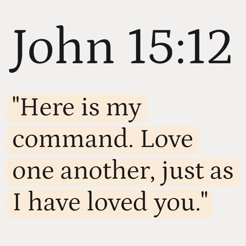 HolyBiblePosts's tweet photo. https://t.co/xiYqAdfFJp