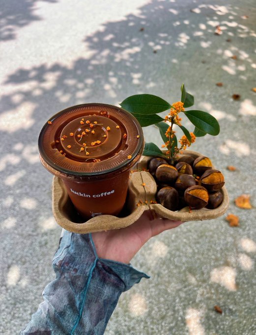 A hand holds a biodegradable cup carrier containing a 'luckin coffee' drink topped with orange sprinkles, alongside chestnuts and yellow flowers on a branch, casting dappled shadows on pavement.