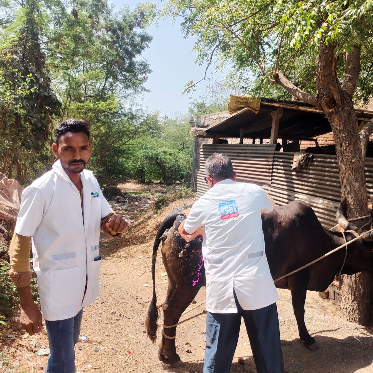 airnews_abad's tweet photo. #Panchmahal #KarunaAmbulance
💠અબોલ જીવોની સંભાળ: કરુણા એમ્બ્યુલન્સ સેવાએ સફળતાપૂર્વક પૂરા કર્યા 9 વર્ષ
💠પંચમહાલ અને દાહોદમાં 20 હજારથી વધુ ઈજાગ્રસ્ત પશુઓને મળ્યું નવજીવન
@GogPanchmahal
#AIRPics : વિપુલ પુરોહિત https://t.co/7A6x4Sqp4h