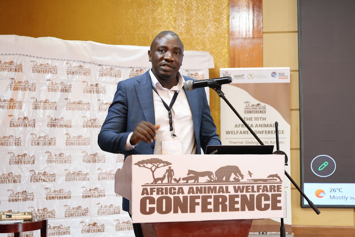 AAWConference's tweet photo. Session Five: Integrating Animal Welfare into Policy, Finance, and One Health Systems

Session Five of the 10th Africa Animal Welfare Conference (AAWC 2026) explored the importance of integrating animal welfare into policy, development cooperation, financing and One Health systems.

Dr. Paul Ssuna, AWeCCA, shared insights on “Animal Welfare in Development Cooperation – Achievements and Lessons from the Joint Programme of AWeCCA and WTS” highlighting lessons from collaborative efforts to advance animal welfare through development cooperation.

Sebastian Mwanza, Africa Network for Animal Welfare (ANAW) spoke on “The Power of Media Advocacy to Drive Animal Welfare Policy Change in Africa,” highlighting the role of media in amplifying animal welfare advocacy, raising awareness and bringing animal welfare issues into wider public and policy conversations.

The session underscored the importance of strategic partnerships, effective communication and stronger integration of animal welfare into development and policy frameworks to drive meaningful and lasting change.

#AAWC2026 #AAWCZambia #AnimalWelfare #ClimateAction #SustainableDevelopment #AAWCLusaka