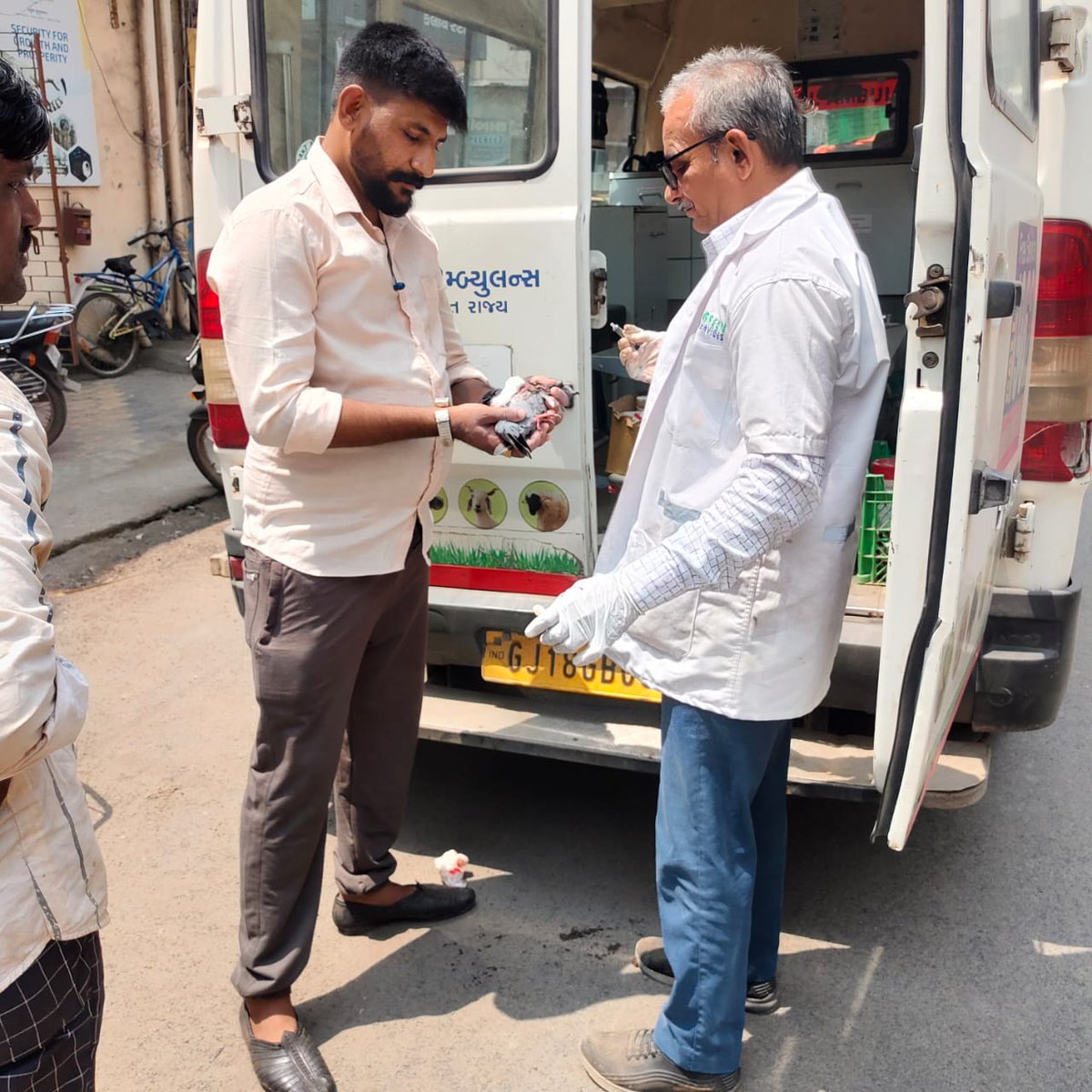 airnews_abad's tweet photo. #Panchmahal #KarunaAmbulance
💠અબોલ જીવોની સંભાળ: કરુણા એમ્બ્યુલન્સ સેવાએ સફળતાપૂર્વક પૂરા કર્યા 9 વર્ષ
💠પંચમહાલ અને દાહોદમાં 20 હજારથી વધુ ઈજાગ્રસ્ત પશુઓને મળ્યું નવજીવન
@GogPanchmahal
#AIRPics : વિપુલ પુરોહિત https://t.co/7A6x4Sqp4h