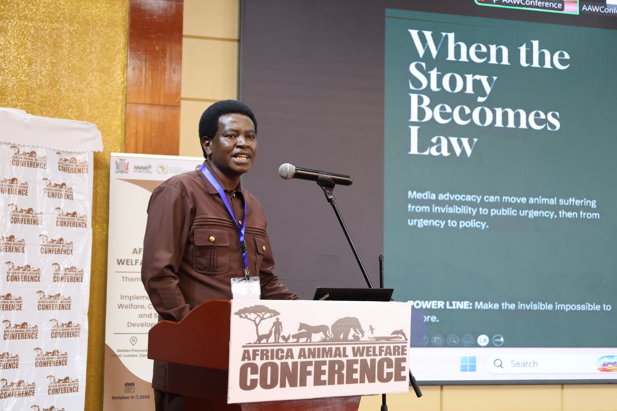 AAWConference's tweet photo. Session Five: Integrating Animal Welfare into Policy, Finance, and One Health Systems

Session Five of the 10th Africa Animal Welfare Conference (AAWC 2026) explored the importance of integrating animal welfare into policy, development cooperation, financing and One Health systems.

Dr. Paul Ssuna, AWeCCA, shared insights on “Animal Welfare in Development Cooperation – Achievements and Lessons from the Joint Programme of AWeCCA and WTS” highlighting lessons from collaborative efforts to advance animal welfare through development cooperation.

Sebastian Mwanza, Africa Network for Animal Welfare (ANAW) spoke on “The Power of Media Advocacy to Drive Animal Welfare Policy Change in Africa,” highlighting the role of media in amplifying animal welfare advocacy, raising awareness and bringing animal welfare issues into wider public and policy conversations.

The session underscored the importance of strategic partnerships, effective communication and stronger integration of animal welfare into development and policy frameworks to drive meaningful and lasting change.

#AAWC2026 #AAWCZambia #AnimalWelfare #ClimateAction #SustainableDevelopment #AAWCLusaka