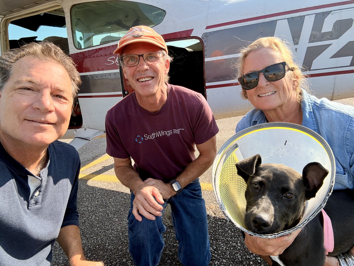 PilotsNPaws's tweet photo. Wilma's #PilotsNPaws #FreedomFlight from NC to NJ. #Grateful to PNP Pilots Rolf Wallins & Greg Schweitzer, #VoorheesAnimalOrphanage and Mark House with
#Code3AnimalRescue for Wilma's fantastic new start in life #ReasonToFly #animals #nodogleftbehind #love https://t.co/qYHyc43Wc3