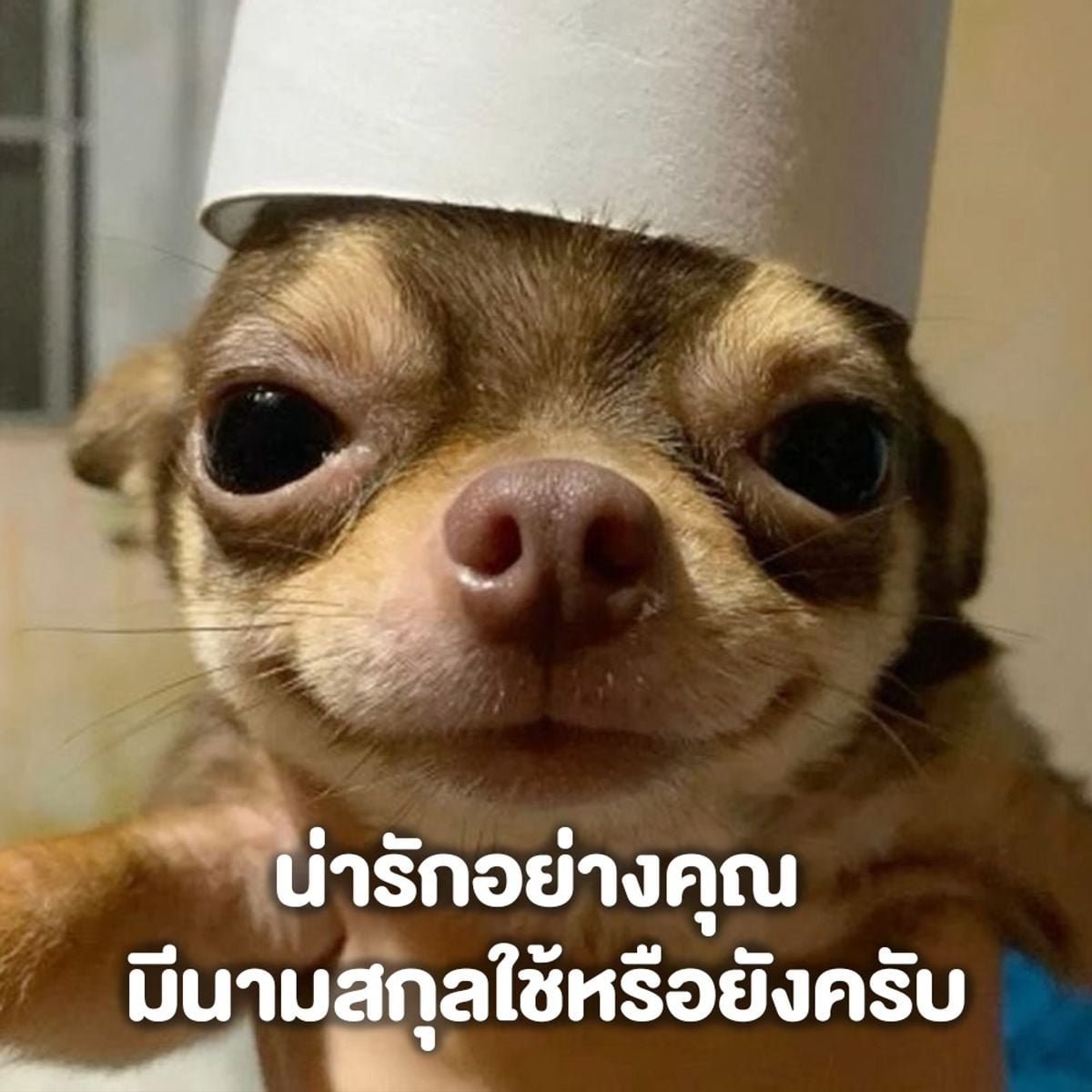 D7Thailand's tweet photo. @nampingnapat พี่มาแล้วครับน้องเขม

TRAILER KHEMJIRA FOREVER
#ตัวอย่างเขมจิราตลอดกาล https://t.co/wFHpBxAfyN