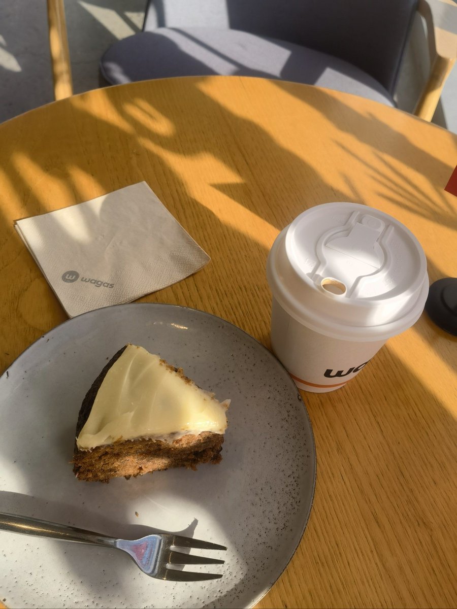 np8lll's tweet photo. In this moment, I see the warm sunlit wall, the delicate willow branches swaying gently, a quiet and pleasant street corner, and a small cake with a scorched, crispy edge—life’s small joys are right here. https://t.co/OlsNbPPKJt