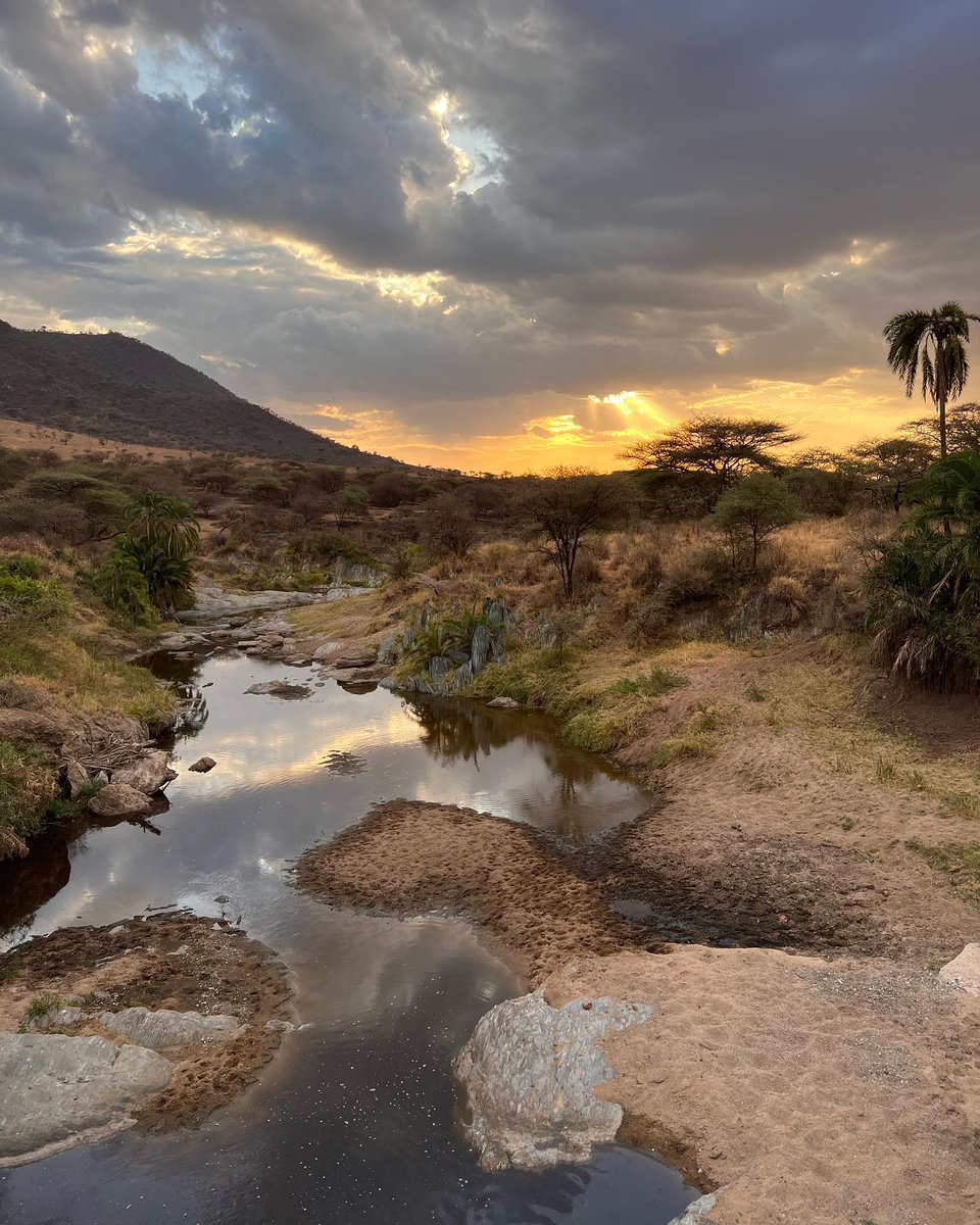 Sussanie's tweet photo. I colori dell’Africa: natura, emozioni e incontri indimenticabili. https://t.co/bRywjihKbs