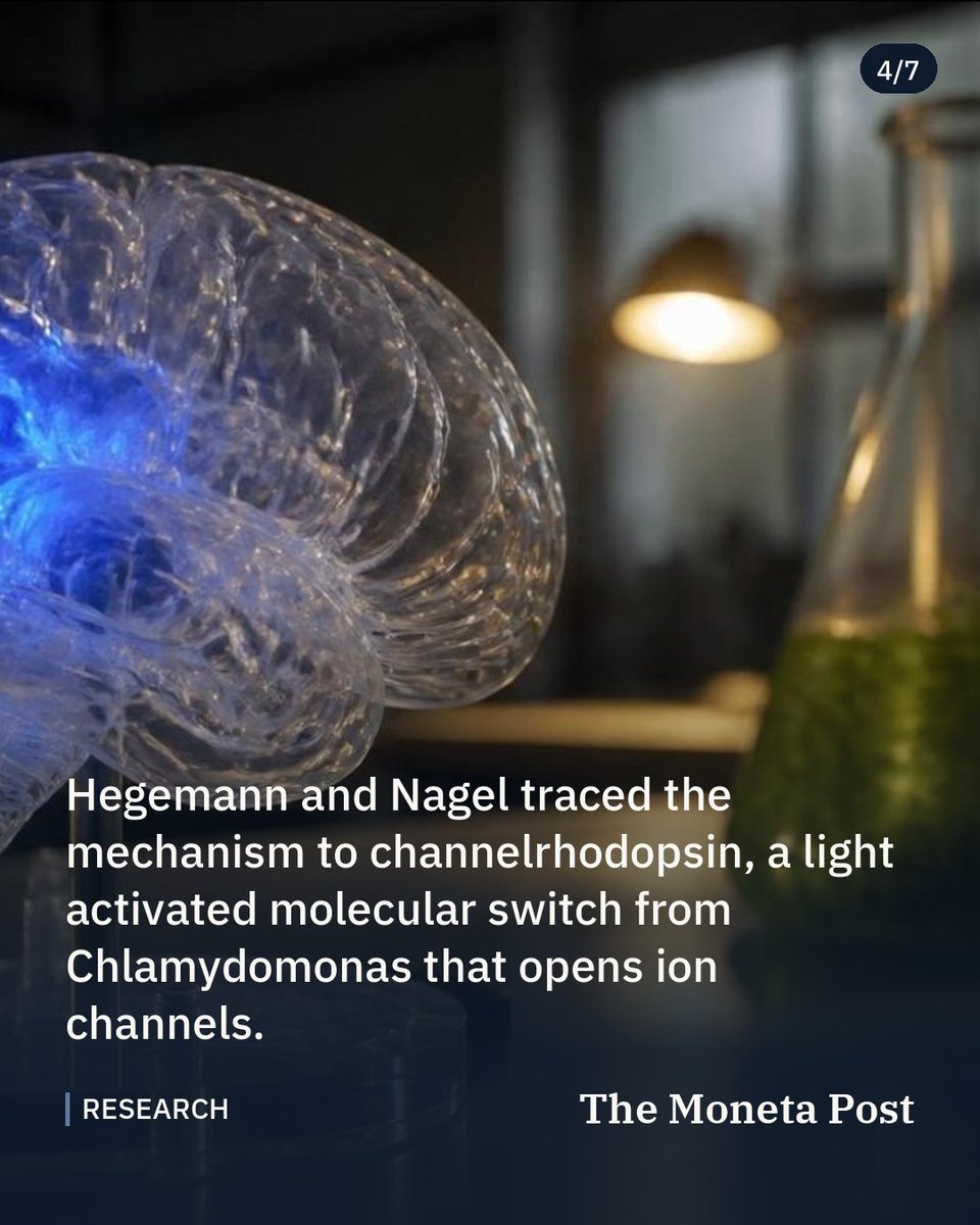 TheMonetaPost's tweet photo. 2026 Nobel honors breakthrough in controlling genes with light

Deisseroth, Hegemann, and Nagel win medicine prize for optogenetics, opening new paths to treating brain disease.

#science #research #nobelprize https://t.co/NM1OV3HQhi