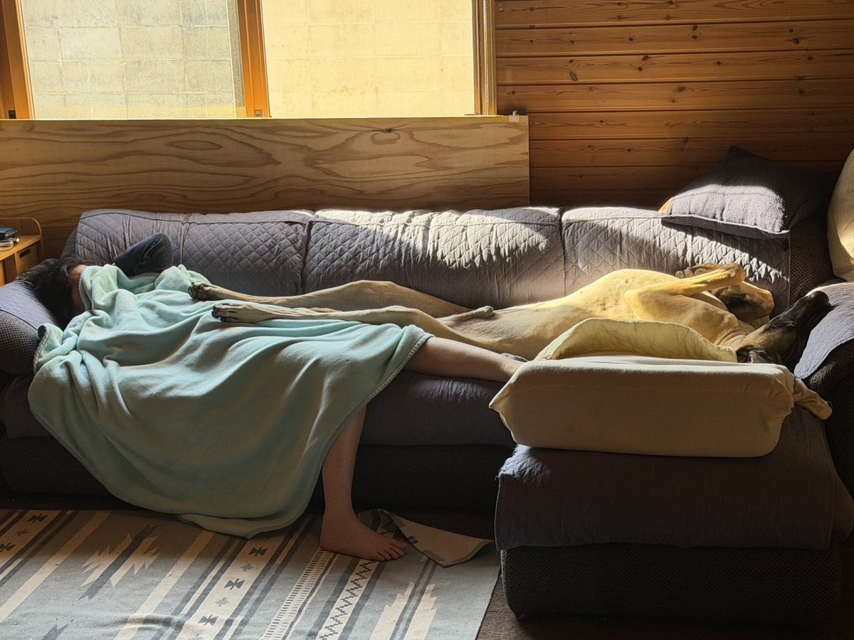 Mildgenial's tweet photo. 私がソファで昼寝してたらいつの間にかソファの反対側で寝てた犬。
でもめちゃくちゃ足伸ばしてくるから私の足落ちとるがな･･･ https://t.co/0PTzFdaZxw