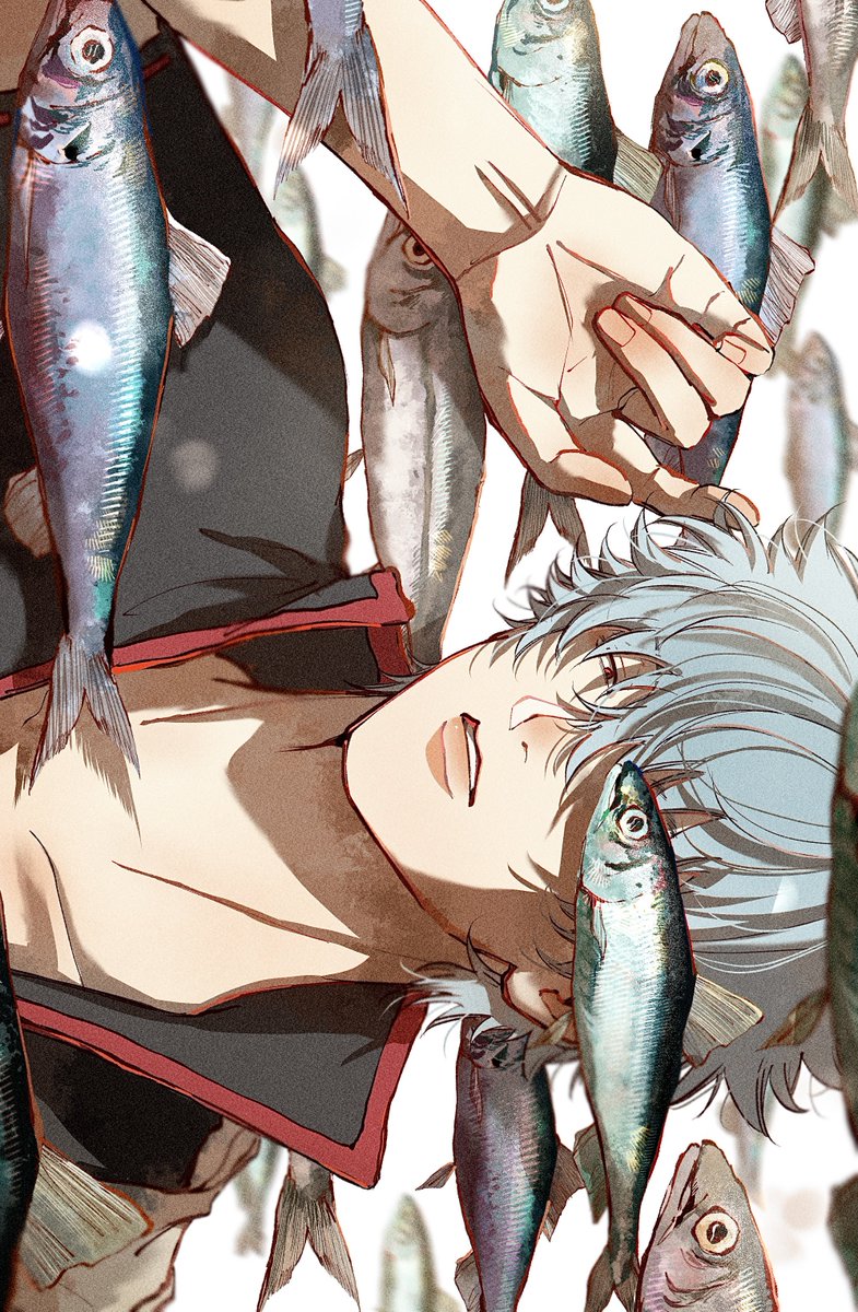 2_Loji's tweet photo. 🐟 https://t.co/NgHhI7nPsJ
