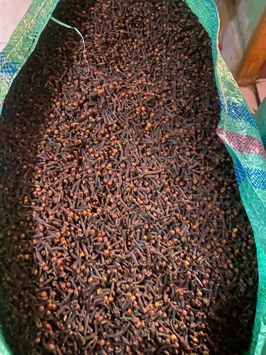 Sebelahkampus's tweet photo. cengkeh itu, harganya lagi bagus. dan selalu bagus.
disini per kg 100-115 rb.

satu pohon sekali penen bisa 6-7kg. 

6x100.000
= rp.600.000

bayangkan. . . punya 1000 pohon cengkeh dibelakang rumah. 

600.000 x 1000
= Rp. 600.000.000 sekali panen.

ini soal chipset saja. https://t.co/gb8DXG6SXB